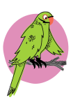 The Parakeet logo: a fun line-drawn cartoon of a green parrotty bird on a pink circle